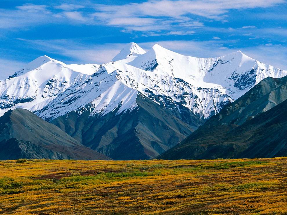 Denali nemzeti park