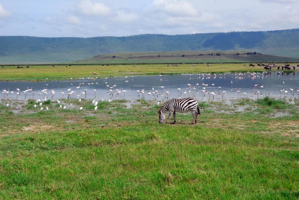 Ngorongoro kráter